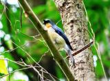 Yala National Park